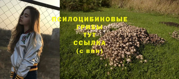 ГАЛЛЮЦИНОГЕННЫЕ ГРИБЫ Наволоки