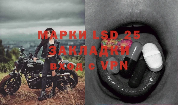 ГАЛЛЮЦИНОГЕННЫЕ ГРИБЫ Наволоки