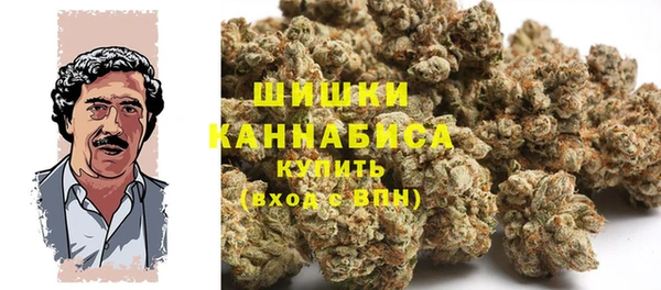 ГАЛЛЮЦИНОГЕННЫЕ ГРИБЫ Наволоки