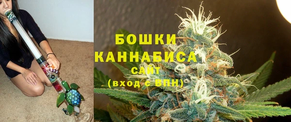 ГАЛЛЮЦИНОГЕННЫЕ ГРИБЫ Наволоки