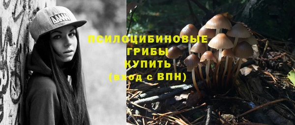 ГАЛЛЮЦИНОГЕННЫЕ ГРИБЫ Наволоки