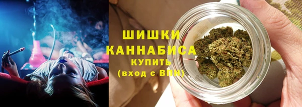 ГАЛЛЮЦИНОГЕННЫЕ ГРИБЫ Наволоки