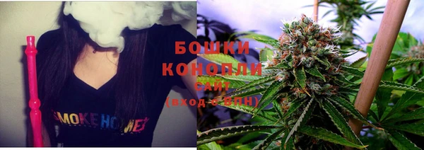 стафф Надым